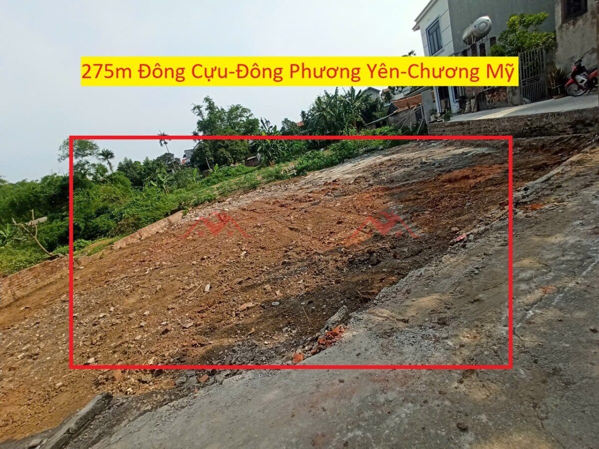 CHÍNH CHỦ CẦN BÁN LÔ ĐẤT 275M TẠI ĐÔNG PHƯƠNG YÊN-CHƯƠNG MỸ-HÀ NỘI - Ảnh chính