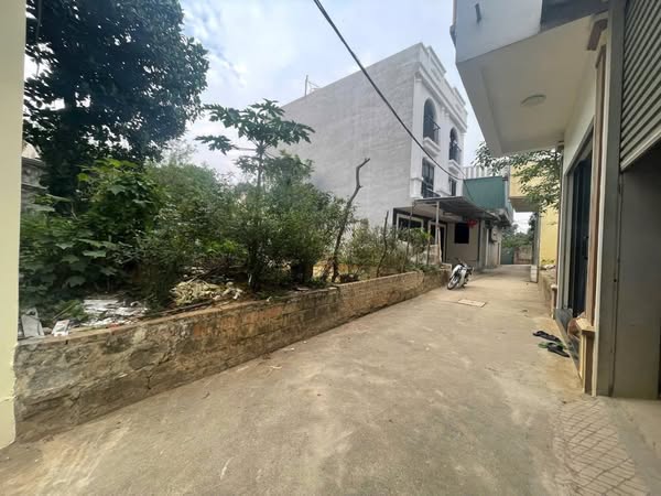 44m tiên phương-chương mỹ - Ảnh 1
