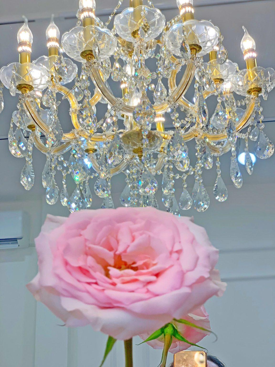 Quận Phú Nhuận ! SANG LẠI MB SHOP DECOR MỚI ĐẸP – GIÁ RẺ, Tel : 0909782578 ( Chính chủ ) - Ảnh 4