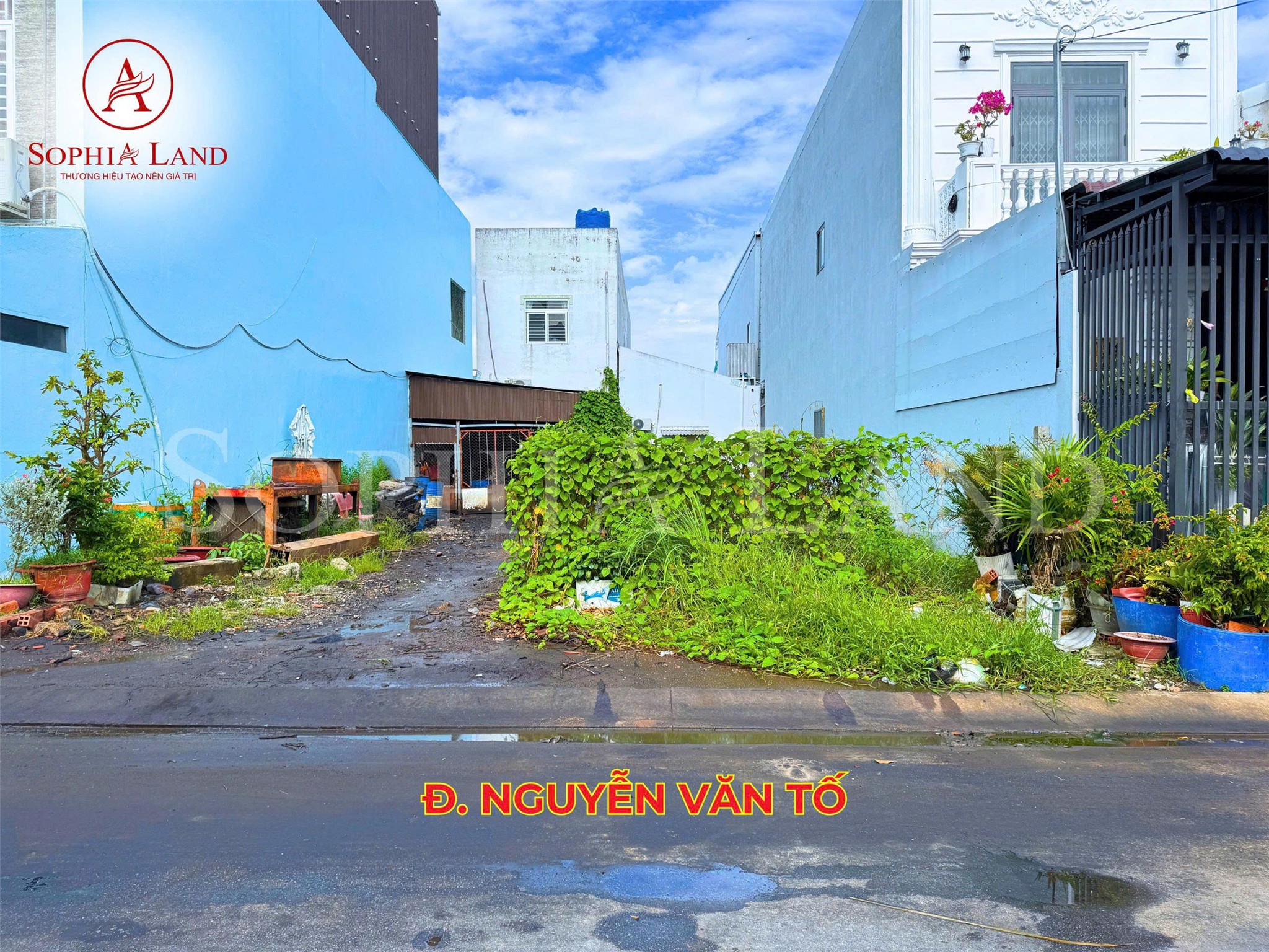 ĐẤT ĐẸP - GIÁ RẺ - BÁN NHANH Lô Đất tại Đường Nguyễn Văn Tố- Kế Bên Phú Cường- Hoàng Gia - Ảnh 2