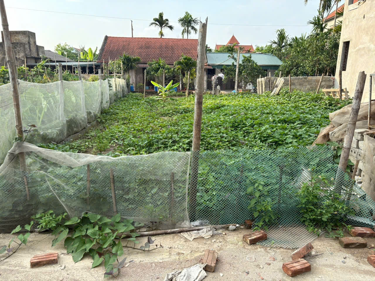 Siêu phẩm xóm 2 - Chương Dương - Thường Tín ~60m2 giá nhỉnh 2 tỷ - Ảnh 1