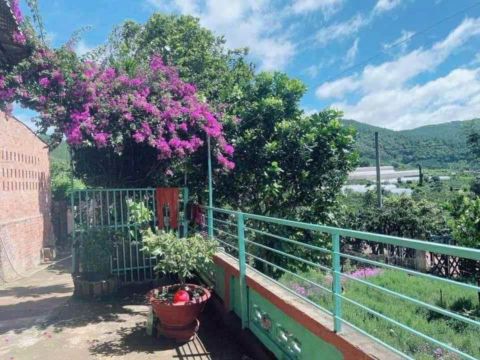 BÁN ĐẤT CAM LY ĐÀ LẠT - 8010M2, 338M2 THỔ CƯ, QUY HOẠCH FULL THỔ, GẦN CÁC ĐIỂM DU LỊCH - Ảnh 2