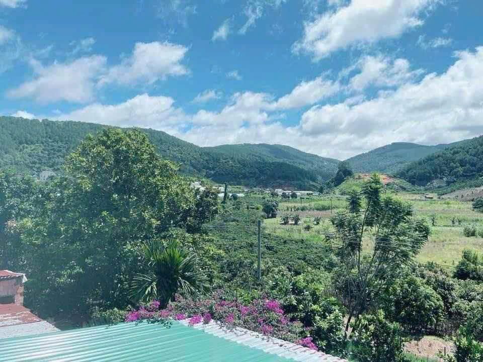 BÁN ĐẤT CAM LY ĐÀ LẠT - 8010M2, 338M2 THỔ CƯ, QUY HOẠCH FULL THỔ, GẦN CÁC ĐIỂM DU LỊCH - Ảnh 1