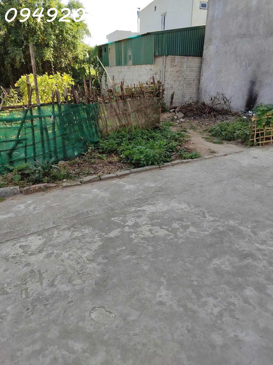 BÁN GẤP LÔ ĐẤT ĐẸP 54m2 THÔN THẮNG CỰU, PHÚ XUÂN, TP THÁI BÌNH – GIÁ CHỈ NHỈNH 1 TỶ - Ảnh 3