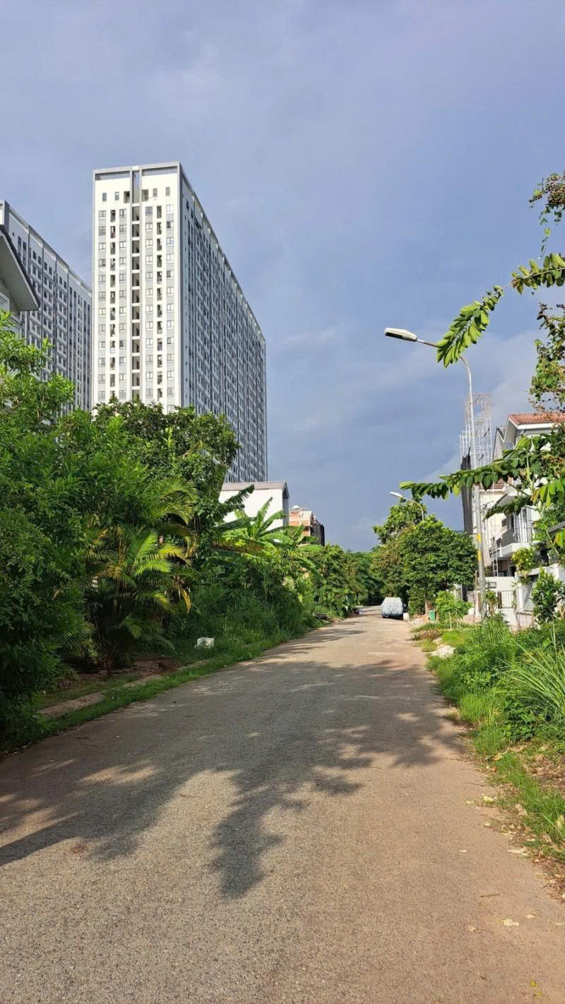 BÁN ĐẤT NỀN BIỆT THỰ – VIEW HỒ – 242m2 - BÌNH CHÁNH  - chỉ 10 ty mầm non - Ảnh 1