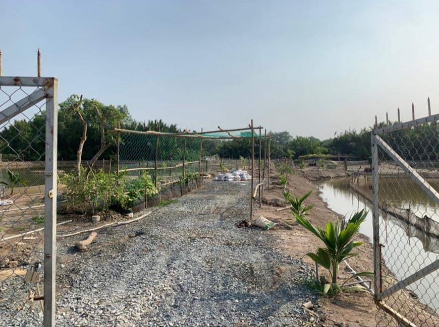 Bán lô đất thổ phân lô mặt tiền đê bao giá 7,5 tỷ - Ảnh 3