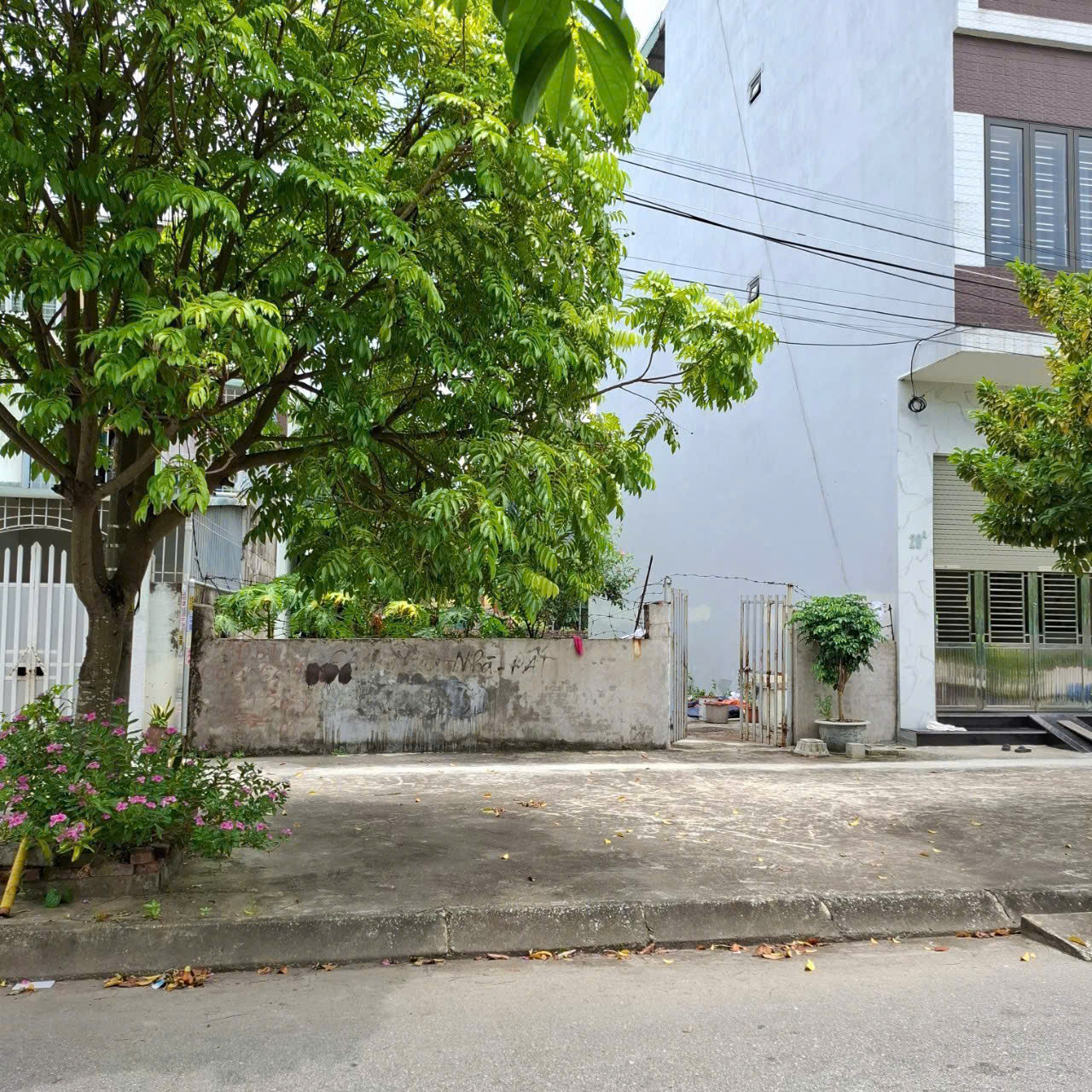 Bán Lô Đất Xây Biệt Thự Nhà Vườn – Đường TĐC Điểm 3, Đằng Hải – Hải Phòng - Ảnh 1