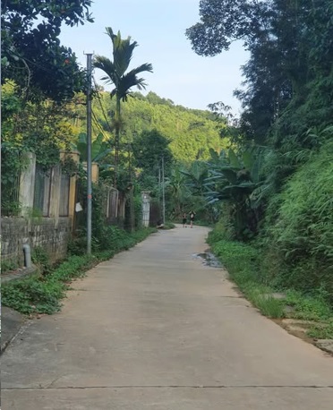 ⭐Chính chủ bán đất ngõ 327 Kim Đồng (P.Minh Tân, TP.Yên Bái cũ), P.Yên Bái, Lào Cai, 0917398179 - Ảnh 3