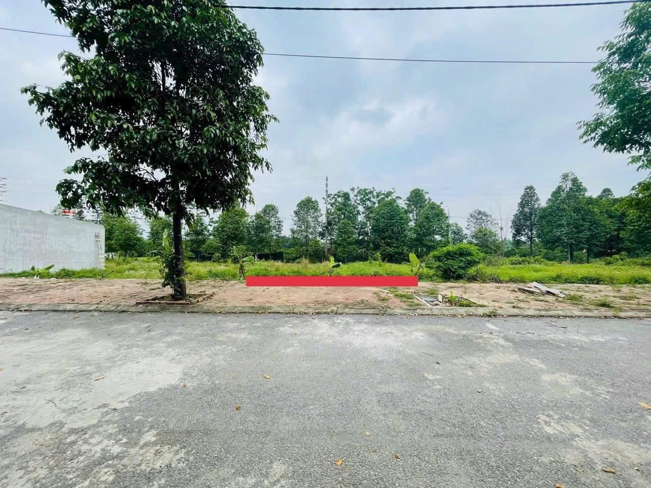 CC EM BÁN 111M2 PHÚ CÁT, GIÁ ĐẦU TƯ - Ảnh 3