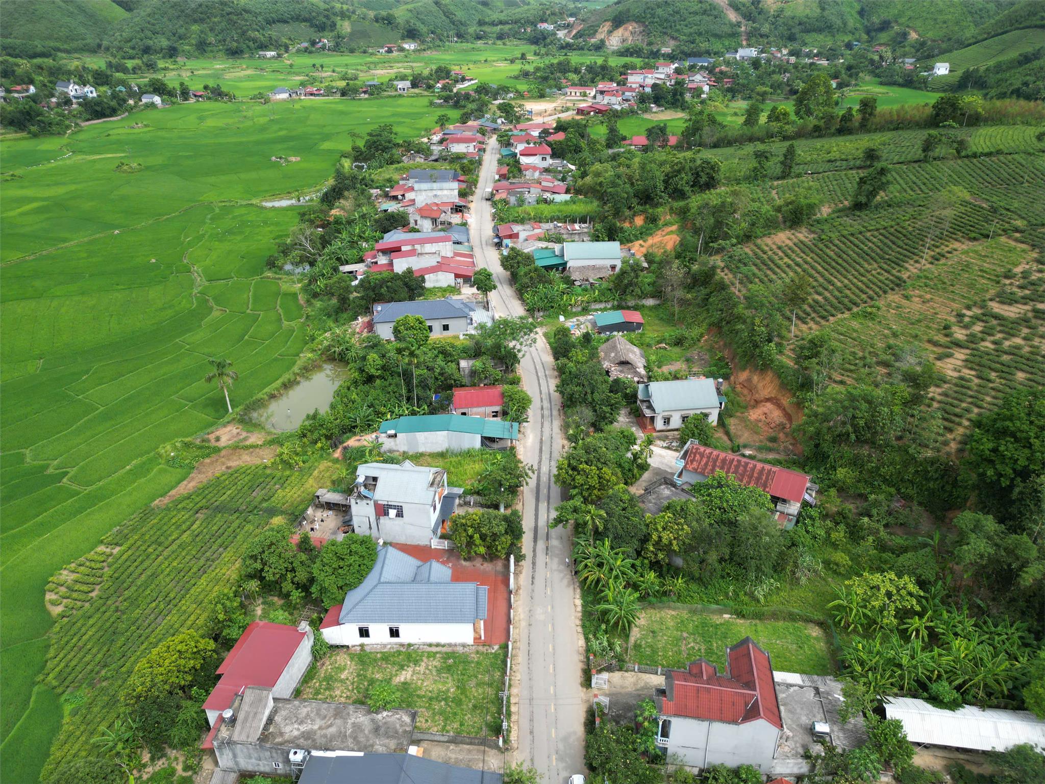 SIÊU PHẨM LÔ ĐẤT  TẶNG NHÀ VƯỜN GẦN UBND – ĐẦU TƯ – KINH DOANH CỰC ĐỈNH - Ảnh 2