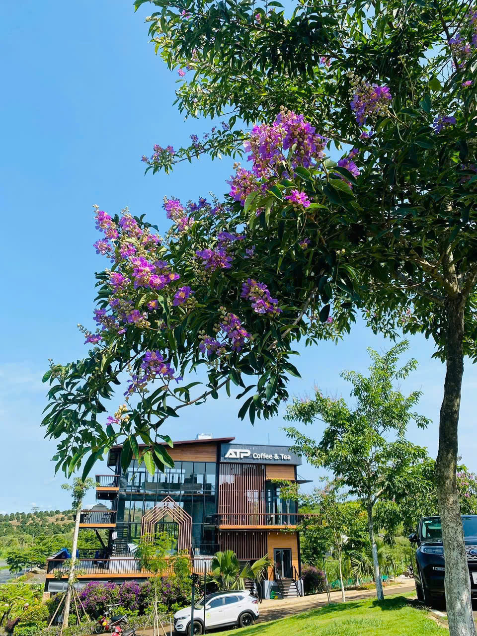 🏡 LÀNG ÔM – ĐẤT ĐẸP, GIÁ TỐT, SỔ RIÊNG TẠI BẢO LỘC 🏡 - Ảnh chính