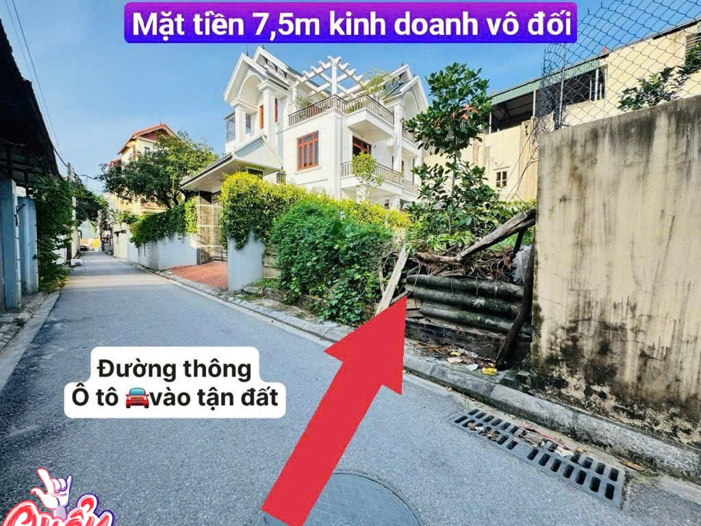 CHÍNH CHỦ BÁN MẢNH ĐẤT VÀNG NGUYÊN KHÊ CŨ-THƯ LÂM-130M2-GIÁ HƠN 50TR M2-ÔTÔ-KINH DOANH-ĐÔNG ANH - Ảnh chính