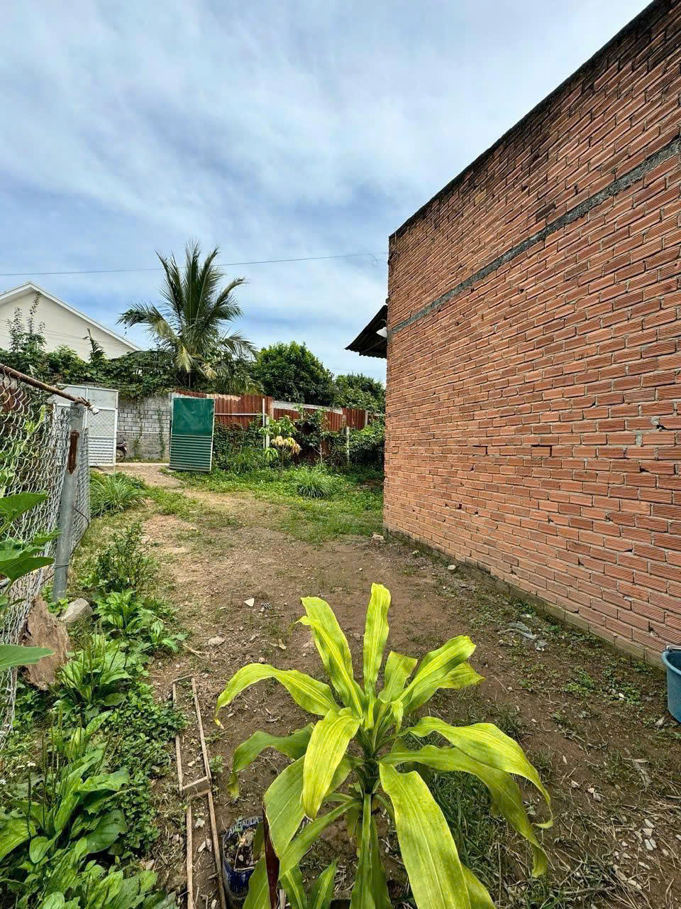 Cần bán 436m2. đất xã bình thạnh - đức trọng - lâm đồng - Ảnh 1