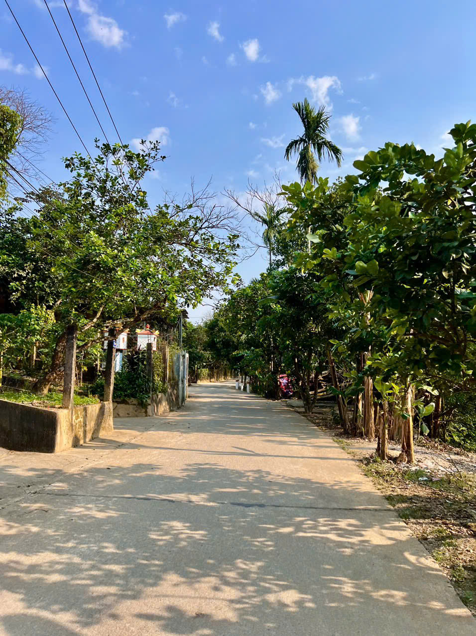 🌈 BÁN ĐẤT ĐẸP NGUYỆT BIỀU – THUỶ BIỀU, TP HUẾ ❌ - Ảnh 3