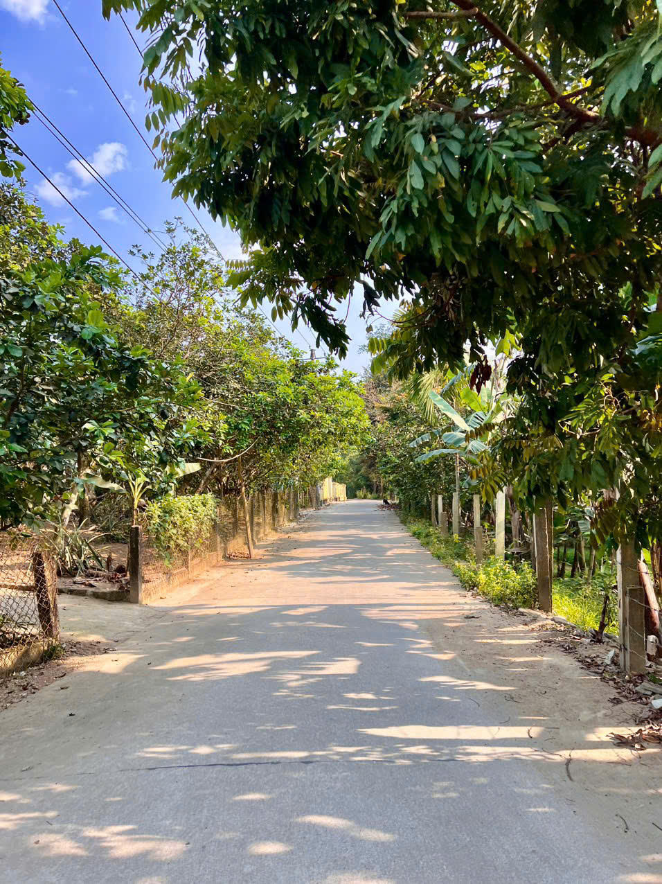 🌈 BÁN ĐẤT ĐẸP NGUYỆT BIỀU – THUỶ BIỀU, TP HUẾ ❌ - Ảnh 4