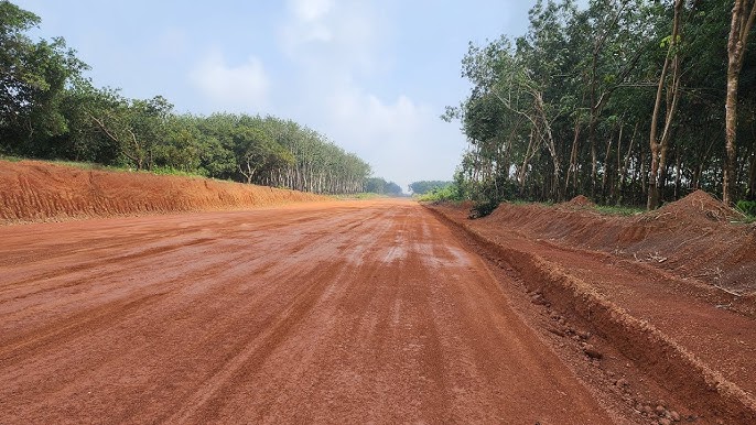 💥 250 TRIỆU – 1000m² ĐẤT NGAY ĐƯỜNG XUYÊN TÂM ĐỒNG PHÚ 💥 - Ảnh 2