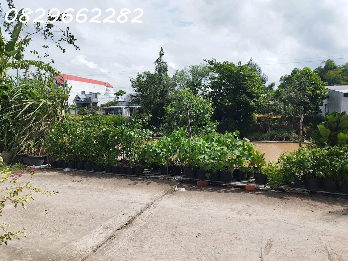 Bán Đất Thổ Cư Phạm Hồng Thái, Sa Đéc. 308m2, Sổ Hồng. Giá 2 Tỷ! - Ảnh 3
