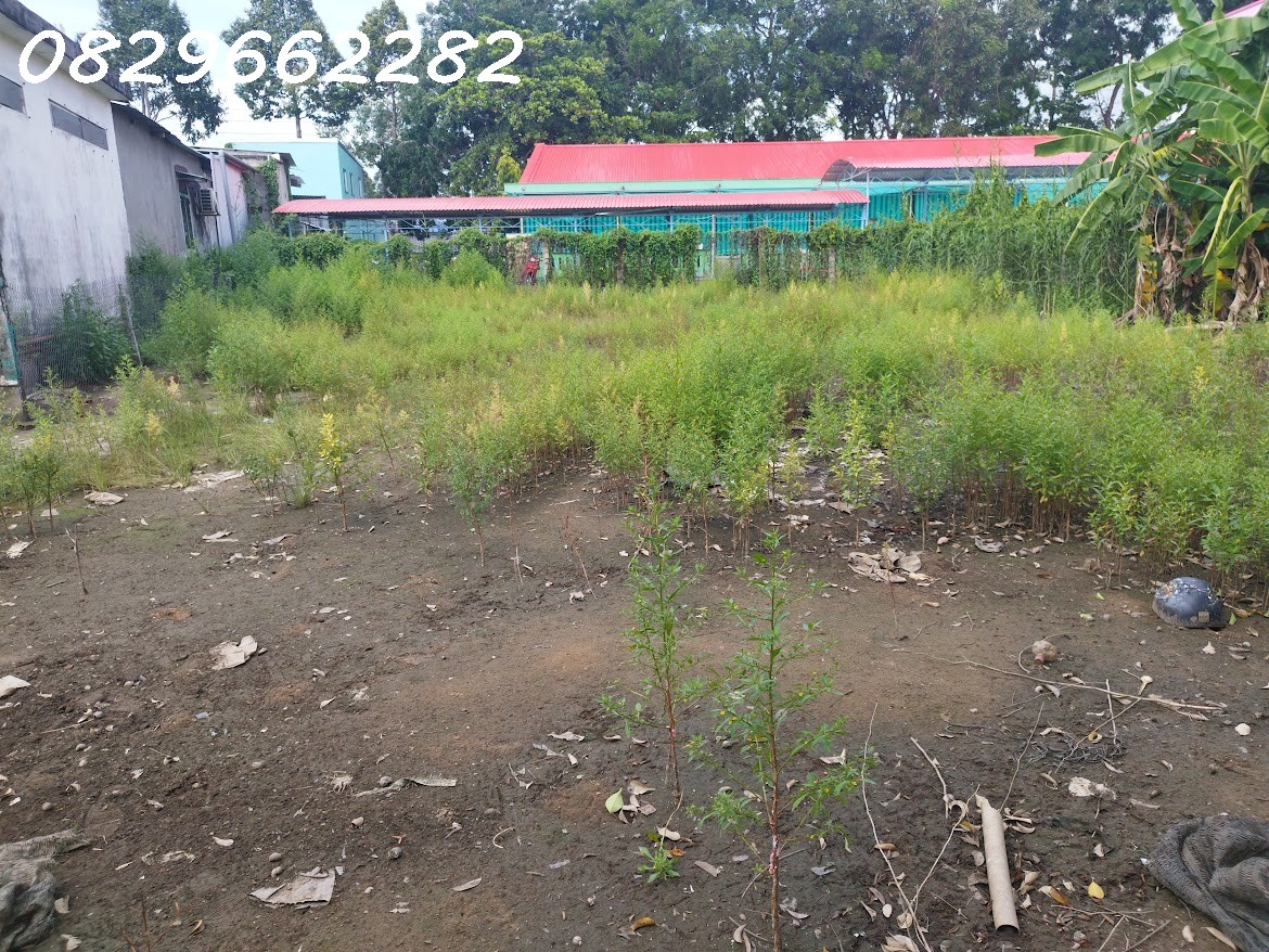 Bán Đất Thổ Cư Đường ĐT 848- Cai Khoa, TP.Sa Đéc. DT 547m2, Sổ Hồng, Giá 3.5 Tỷ - Ảnh 3