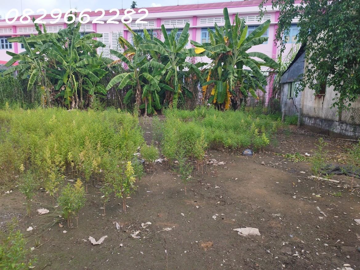 Bán Đất Thổ Cư Đường ĐT 848- Cai Khoa, TP.Sa Đéc. DT 547m2, Sổ Hồng, Giá 3.5 Tỷ - Ảnh 4