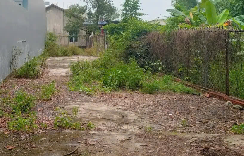 BÁN LÔ ĐẤT 220m² HẺM 5m – TÂN BÌNH, DĨ AN<br> C hỉ ~ 11 triệu/m² – Giá tốt đầu tư - Ảnh 2