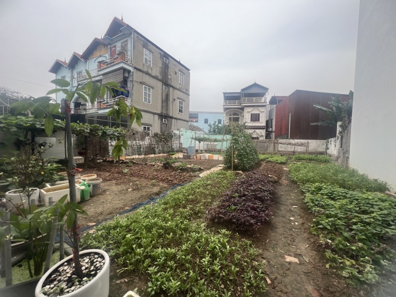 SIÊU PHẨM ĐẤT ĐẸP TRUNG TÂM ĐA TỐN – SÁT VINHOMES OCEAN PARK - Ảnh 2