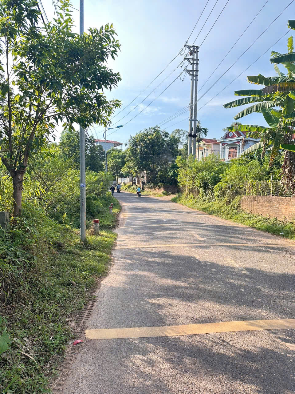 Chính chủ gửi bán gộp 2 lô đất đẹp - Đất ở và đất trồng cây lâu năm - Ảnh chính