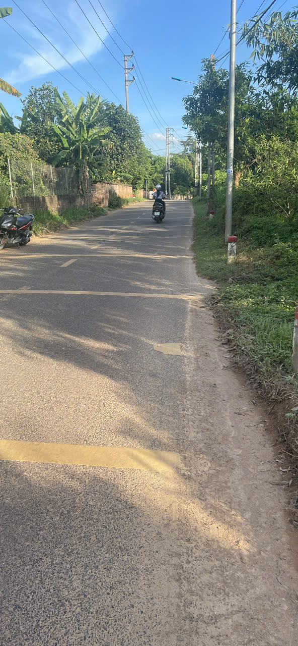 Chính chủ gửi bán gộp 2 lô đất đẹp - Đất ở và đất trồng cây lâu năm - Ảnh 1