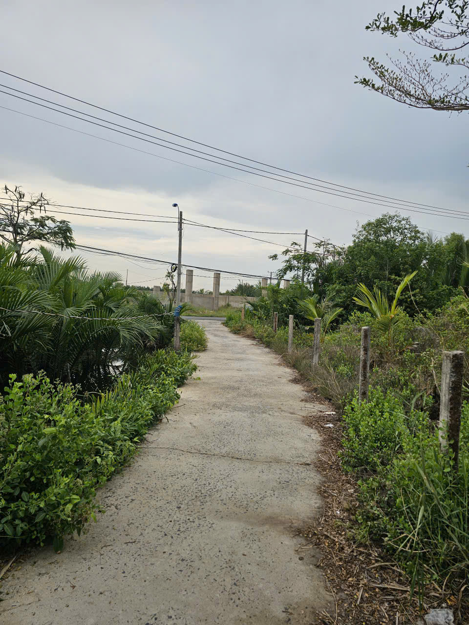 Chính Chủ đứng bán Lô Đất Tại Xã Bình Khánh, Huyện Cần Giờ, TP Hồ Chí Minh. - Ảnh 1