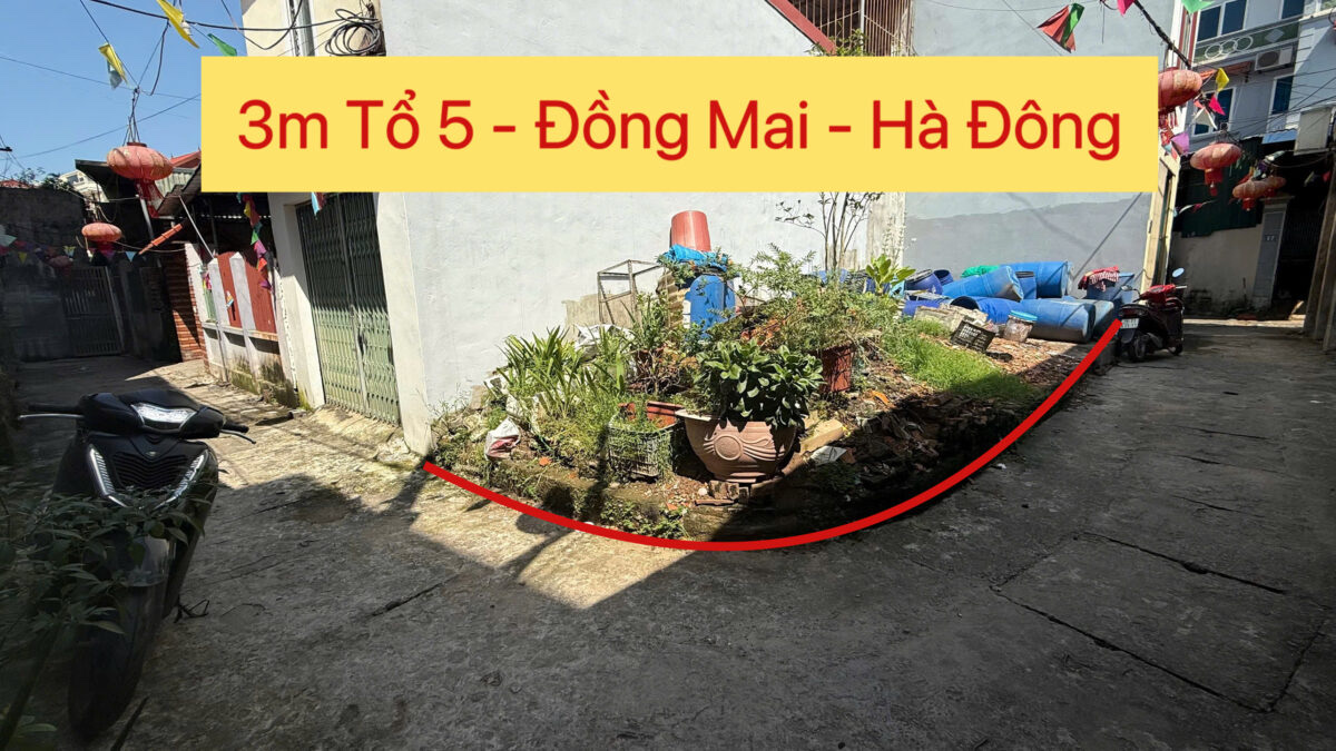 CHÍNH CHỦ CẦN BÁN LÔ ĐẤT 36M TẠI TỔ 5 ĐỒNG MAI-HÀ ĐÔNG-HÀ NỘI - Ảnh chính