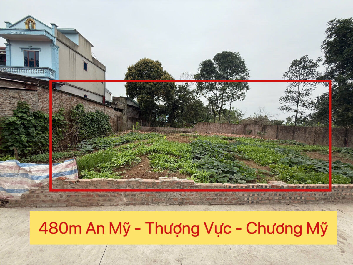 CHÍNH CHỦ CẦN BÁN LÔ ĐẤT 480M TẠI THƯỢNG VỰC-CHƯƠNG MỸ-HÀ NỘI - Ảnh chính