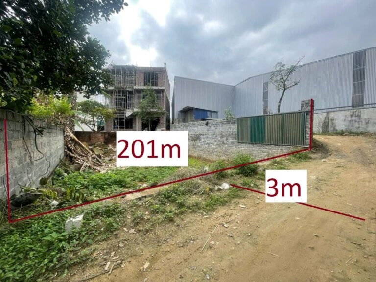 CHÍNH CHỦ CẦN BÁ LÔ ĐẤT 201M TẠI ĐÔNG PHƯƠNG YÊN-CHƯƠNG MỸ-HÀ NỘI - Ảnh chính