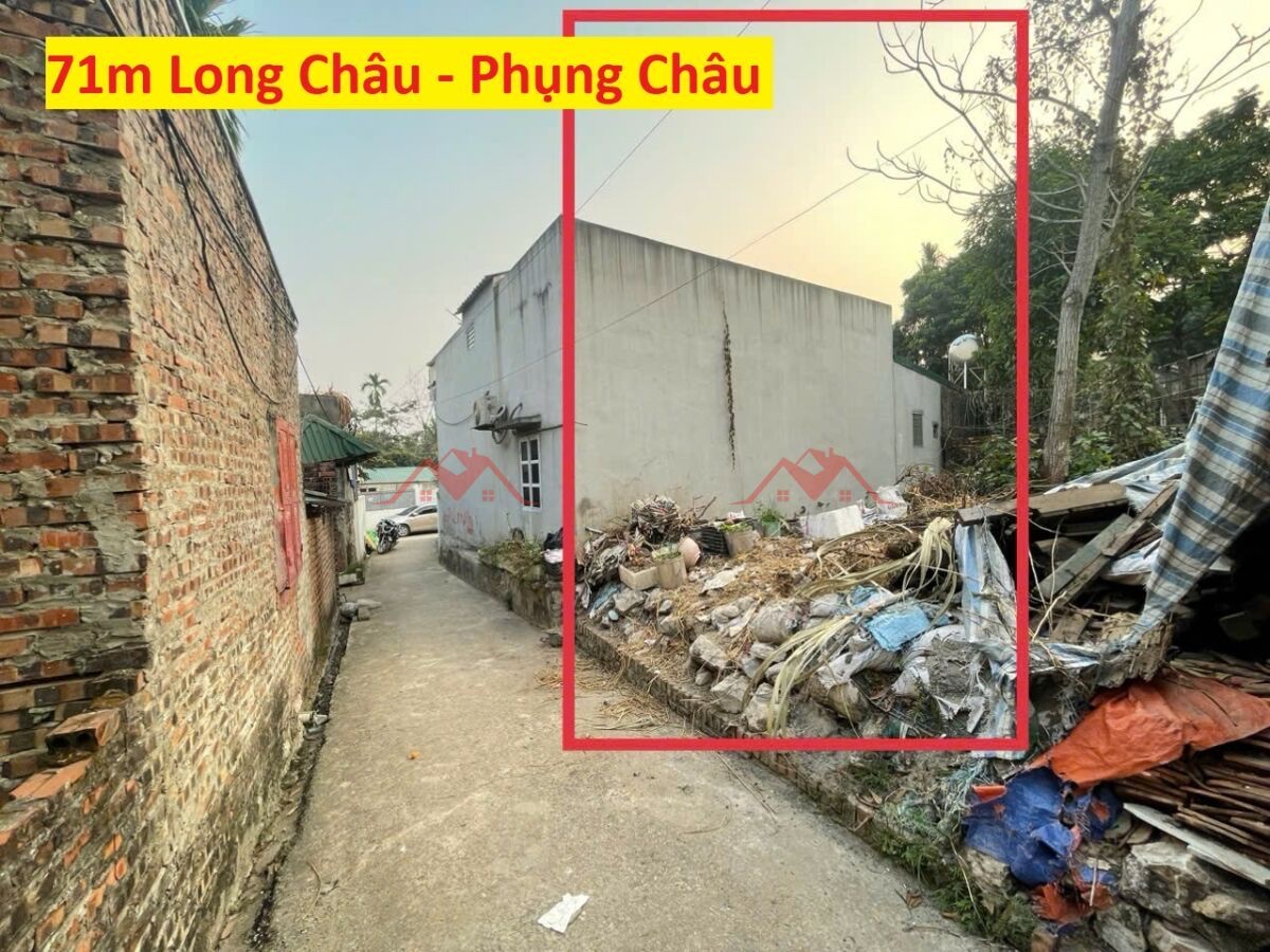 CHÍNH CHỦ CẦN BÁN LÔ ĐẤT 71M TẠI PHỤNG CHÂU-CHƯƠNG MỸ-HÀ NỘI - Ảnh chính