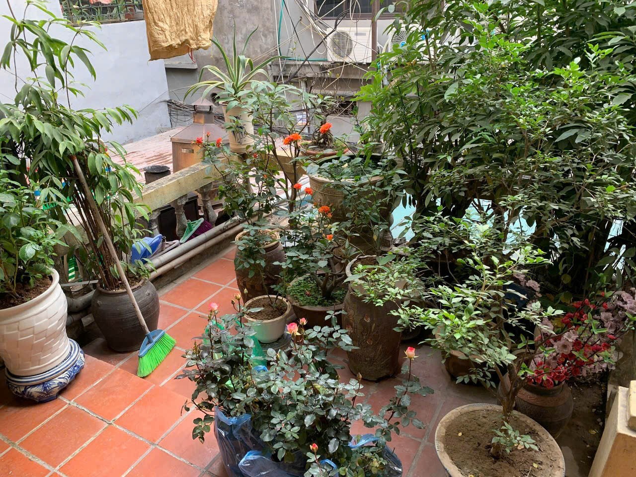 Nhà đẹp- giá ưu đãi chính chủ cần bán nhanh căn nhà khu đất vàng phường Giảng Võ, HN - Ảnh 2