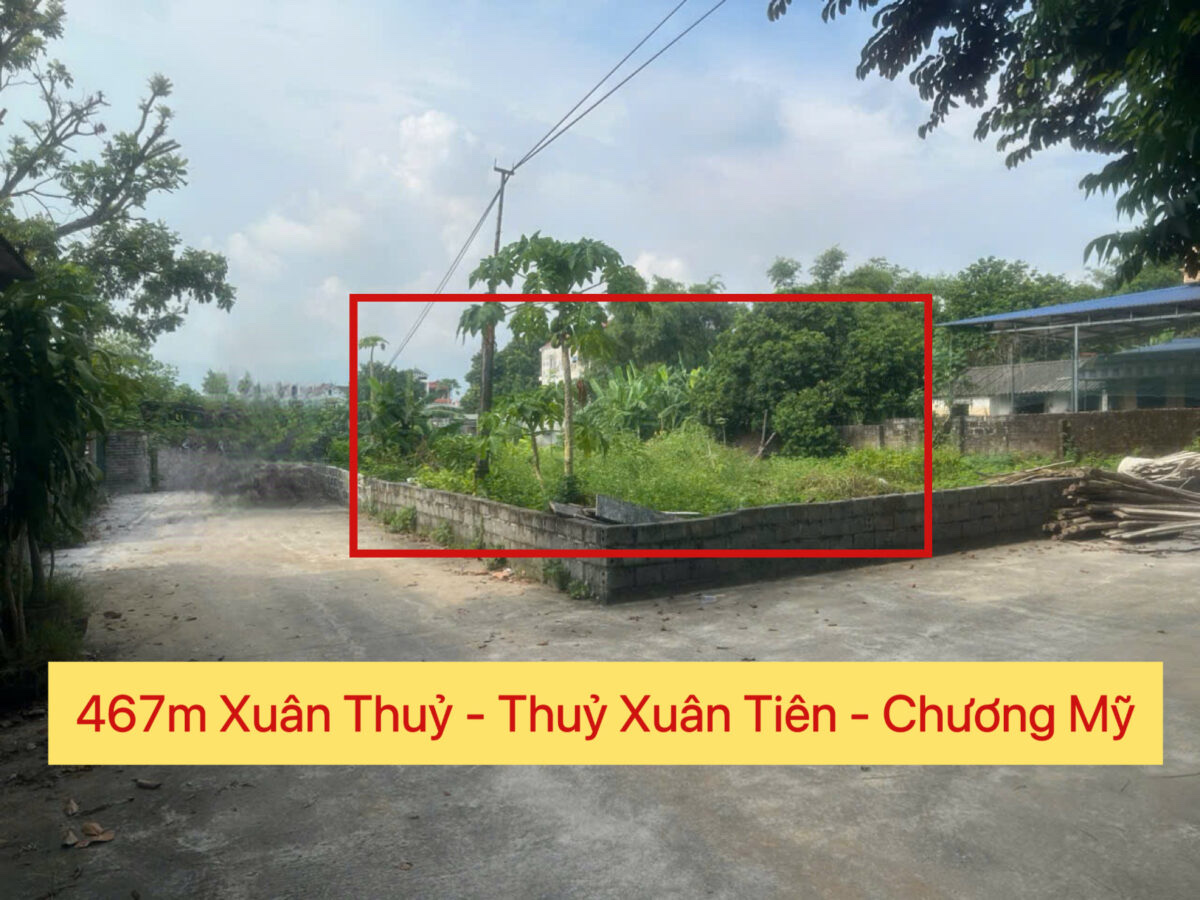 CHÍNH CHỦ CẦN BÁN LÔ ĐẤT 467M TẠI THỦY XUÂN TIÊN-CHƯƠNG MỸ-HÀ NỘI - Ảnh chính