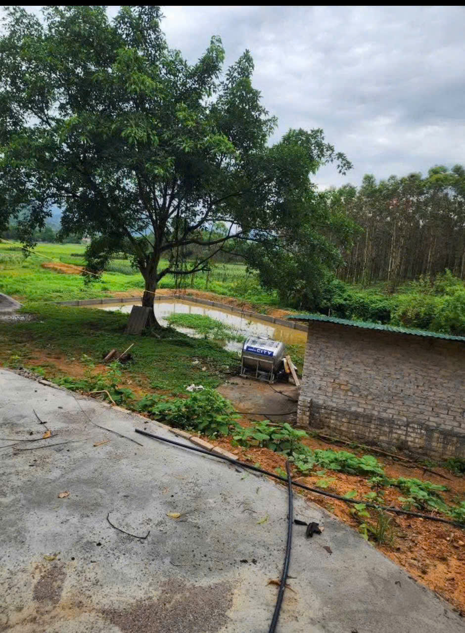 CHÍNH CHỦ CẦN BÁN 3,5HA ĐẤT TRANG TRẠI TẠI HỮU LŨNG – LẠNG SƠN - Ảnh 1