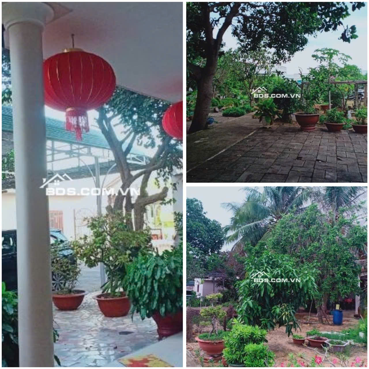 CHÍNH CHỦ CẦN BÁN LÔ ĐẤT SIÊU VIP TẠI TP. PHAN THIẾT, TỈNH BÌNH THUẬN - Ảnh 1