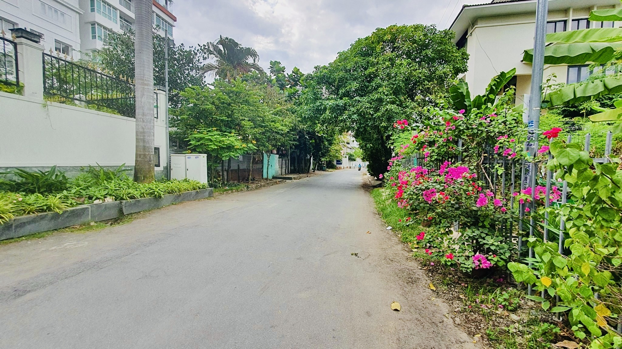 Bán đất thổ cư mt dg so 12 tran nao , phuog binh khanh ,Q.2, 308m2, 45 tỷ, sổ đỏ - Ảnh 1