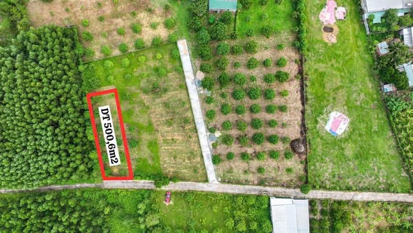 BÁN NHANH LÔ ĐẤT THỔ CƯ, MẶT TIỀN ĐƯỜNG TẠI SUỐI TIÊN - DIÊN KHÁNH! - Ảnh 1