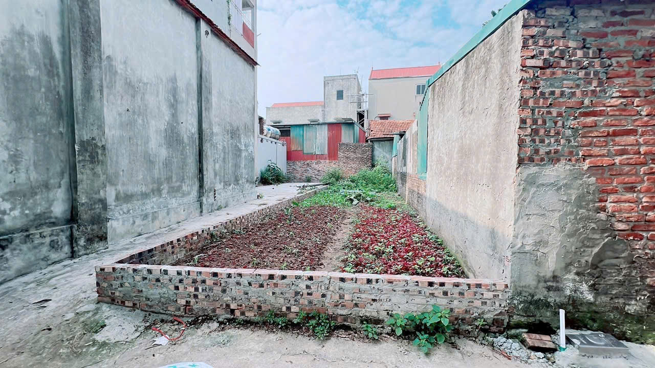 Bán đất lô góc 54m² – Đức Thượng, Hoài Đức, Hà Nội - nhỉnh 4 tỷ - Ảnh 1