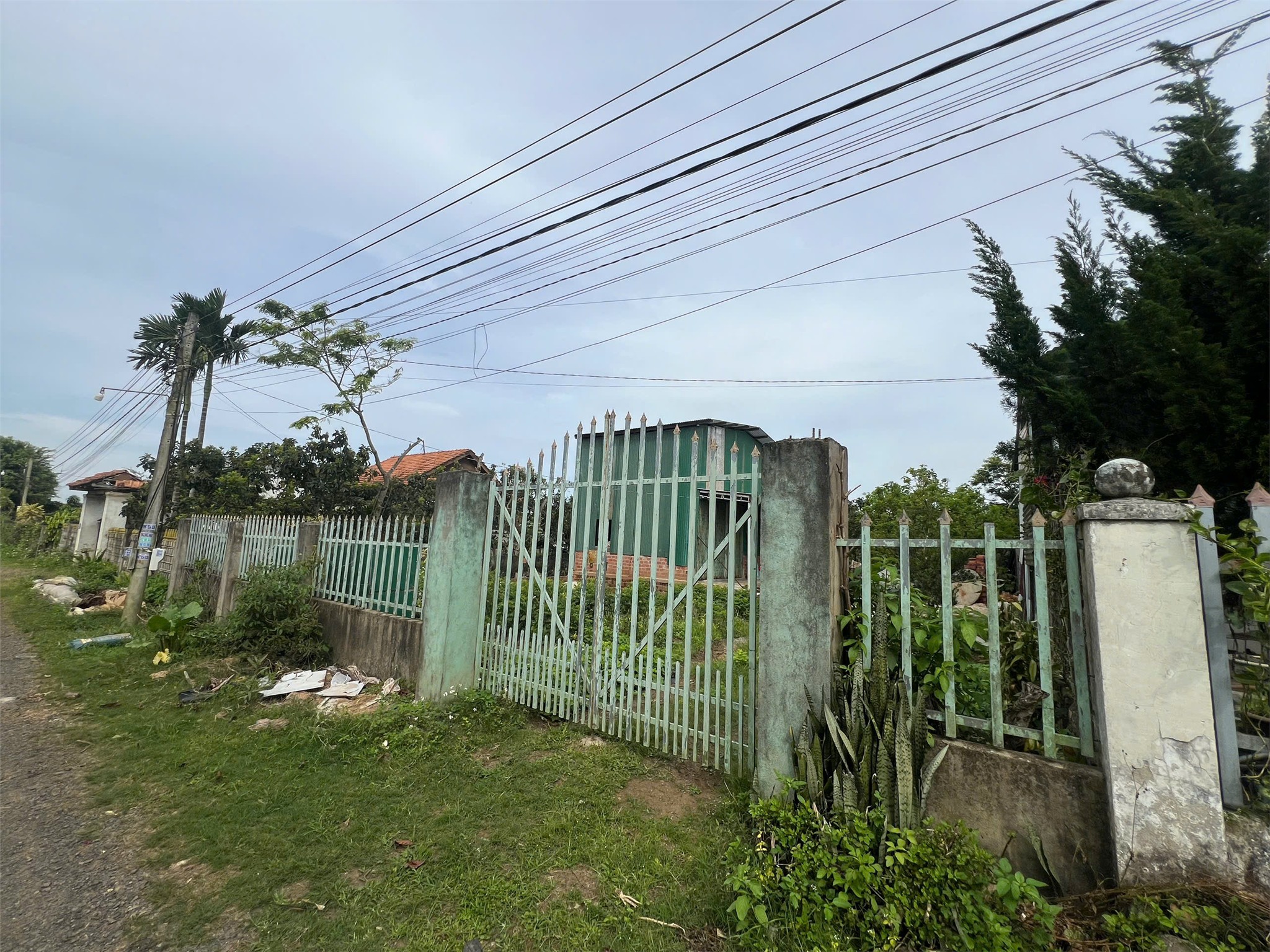 ĐẤT  CHÍNH CHỦ   - CẦN BÁN LÔ ĐẤT Sau Chợ Hòa Ninh, Di Linh, Lâm Đồng - GIÁ SIÊU ƯU ĐÃI - Ảnh 1