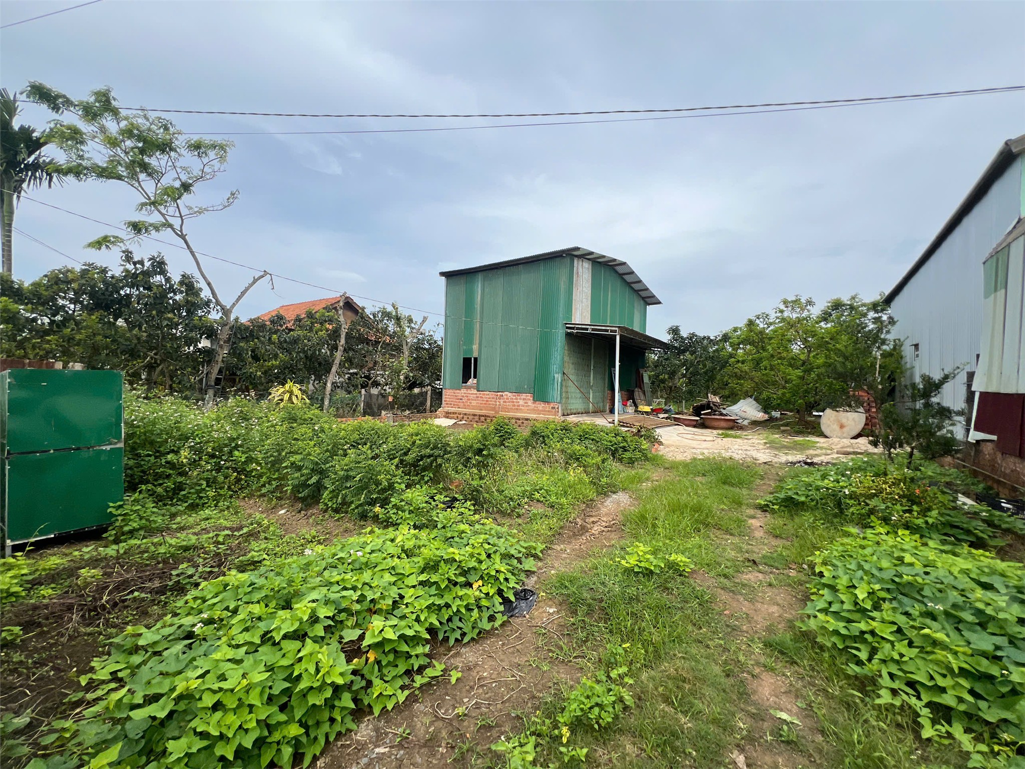 ĐẤT  CHÍNH CHỦ   - CẦN BÁN LÔ ĐẤT Sau Chợ Hòa Ninh, Di Linh, Lâm Đồng - GIÁ SIÊU ƯU ĐÃI - Ảnh 3