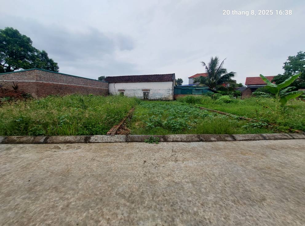 Bán đất Thanh Trí, Sóc Sơn (Kim Anh), 100m2, mt6.3m, ô tô, 2.3 tỷ. - Ảnh chính