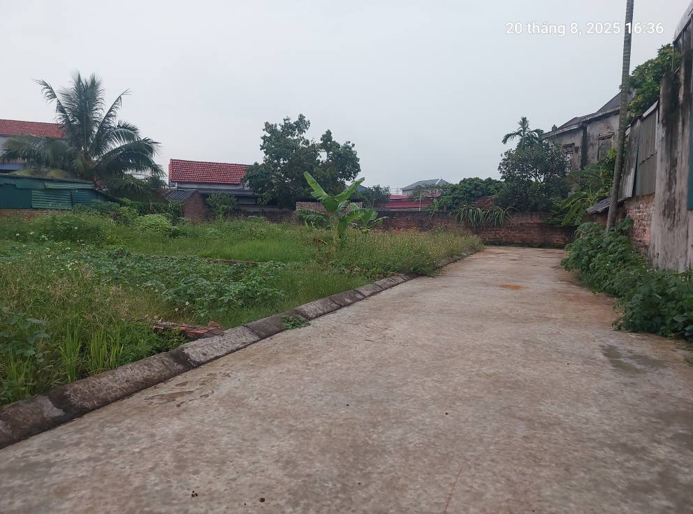 Bán đất Thanh Trí, Sóc Sơn (Kim Anh), 100m2, mt6.3m, ô tô, 2.3 tỷ. - Ảnh 1