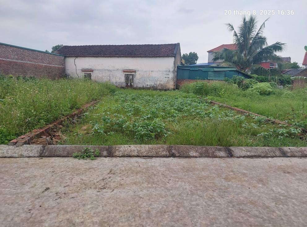 Bán đất Thanh Trí, Sóc Sơn (Kim Anh), 100m2, mt6.3m, ô tô, 2.3 tỷ. - Ảnh 2