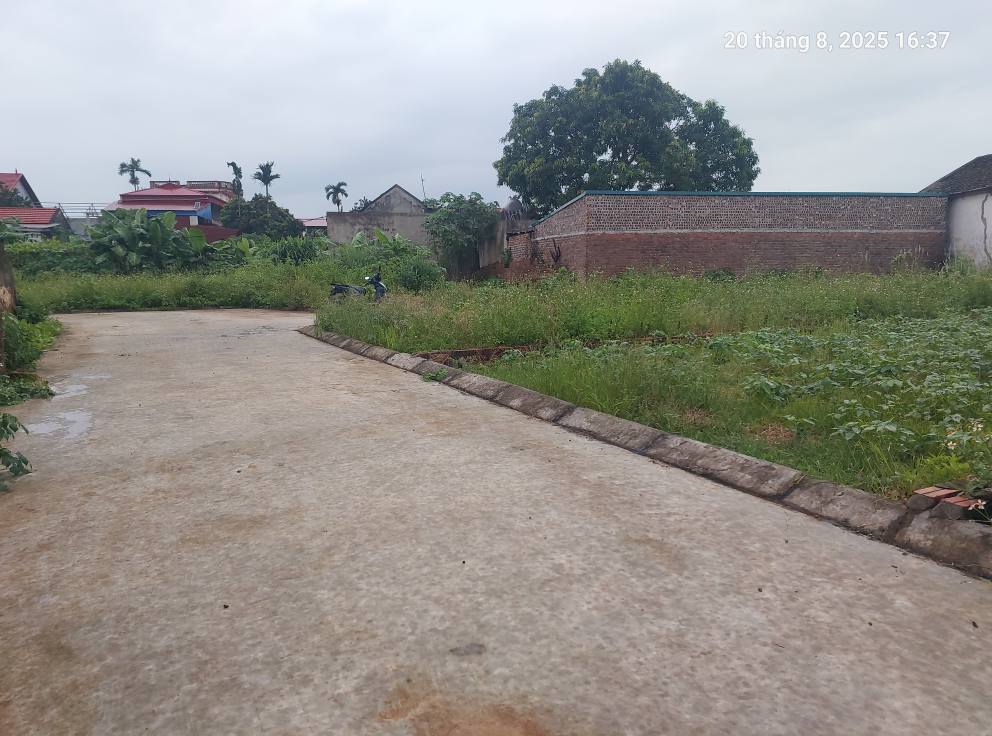 Bán đất Thanh Trí, Sóc Sơn (Kim Anh), 100m2, mt6.3m, ô tô, 2.3 tỷ. - Ảnh 3