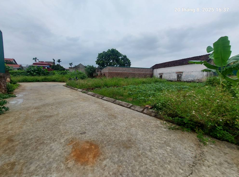 Bán đất Thanh Trí, Sóc Sơn (Kim Anh), 100m2, mt6.3m, ô tô, 2.3 tỷ. - Ảnh 4