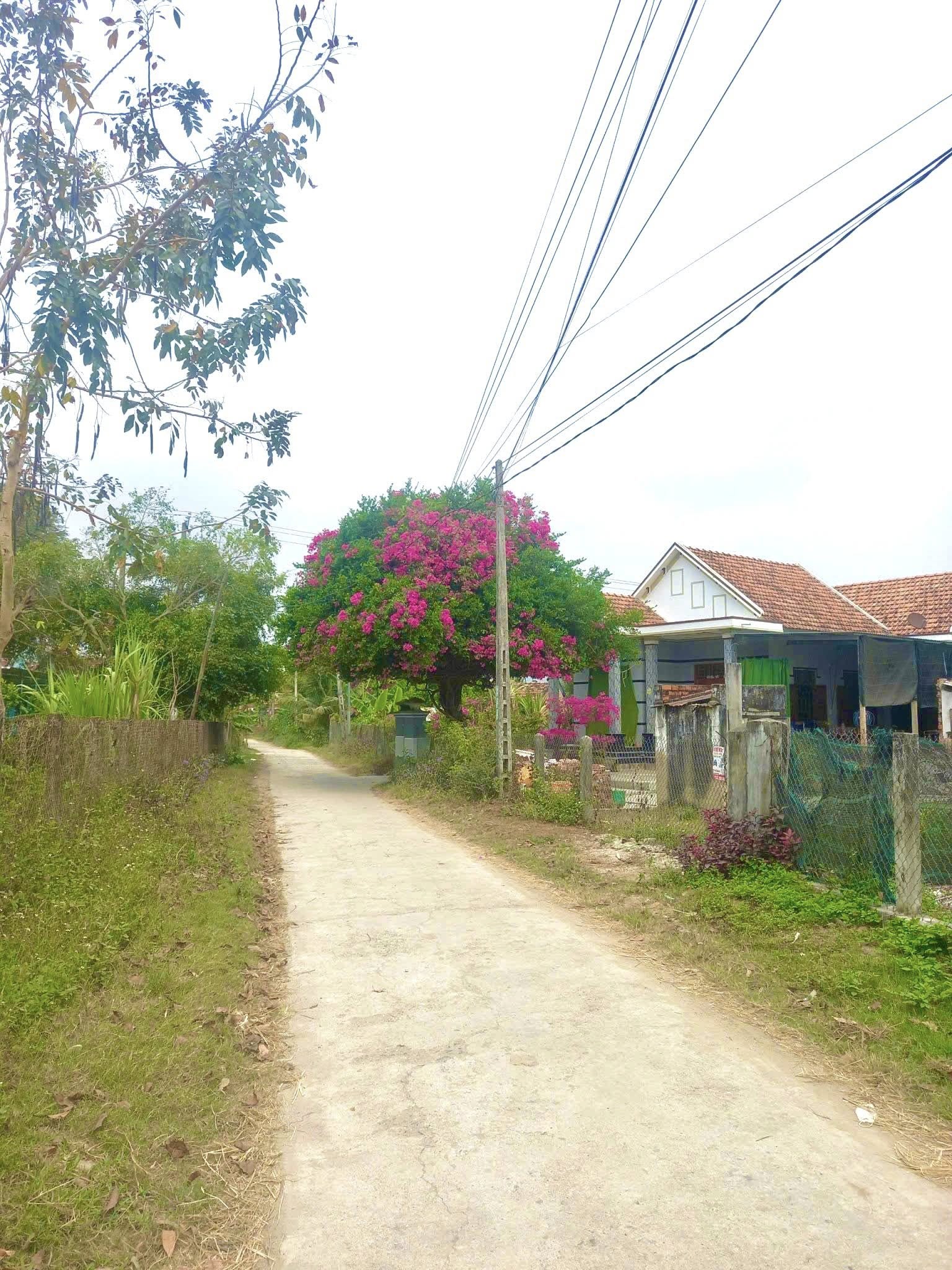 Bán Gấp Lô Đất Thổ Cư, Nằm Ngay Mặt Tiền Đường Xã Ninh Thân, Ninh Hòa – Giá Chỉ 500 Triệu! - Ảnh 2