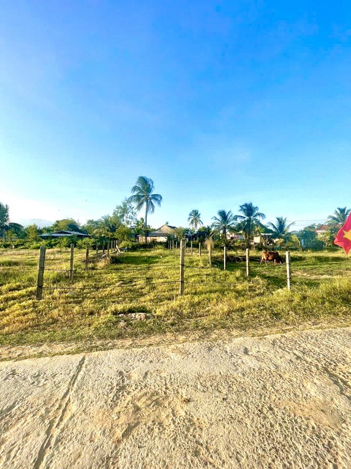 CƠ HỘI VÀNG! ĐẤT ĐẸP FULL THỔ, ĐÓN ĐẦU LÀN SÓNG ĐẦU TƯ KHU KINH TẾ VÂN PHONG, NINH AN, NINH HÒA - Ảnh chính