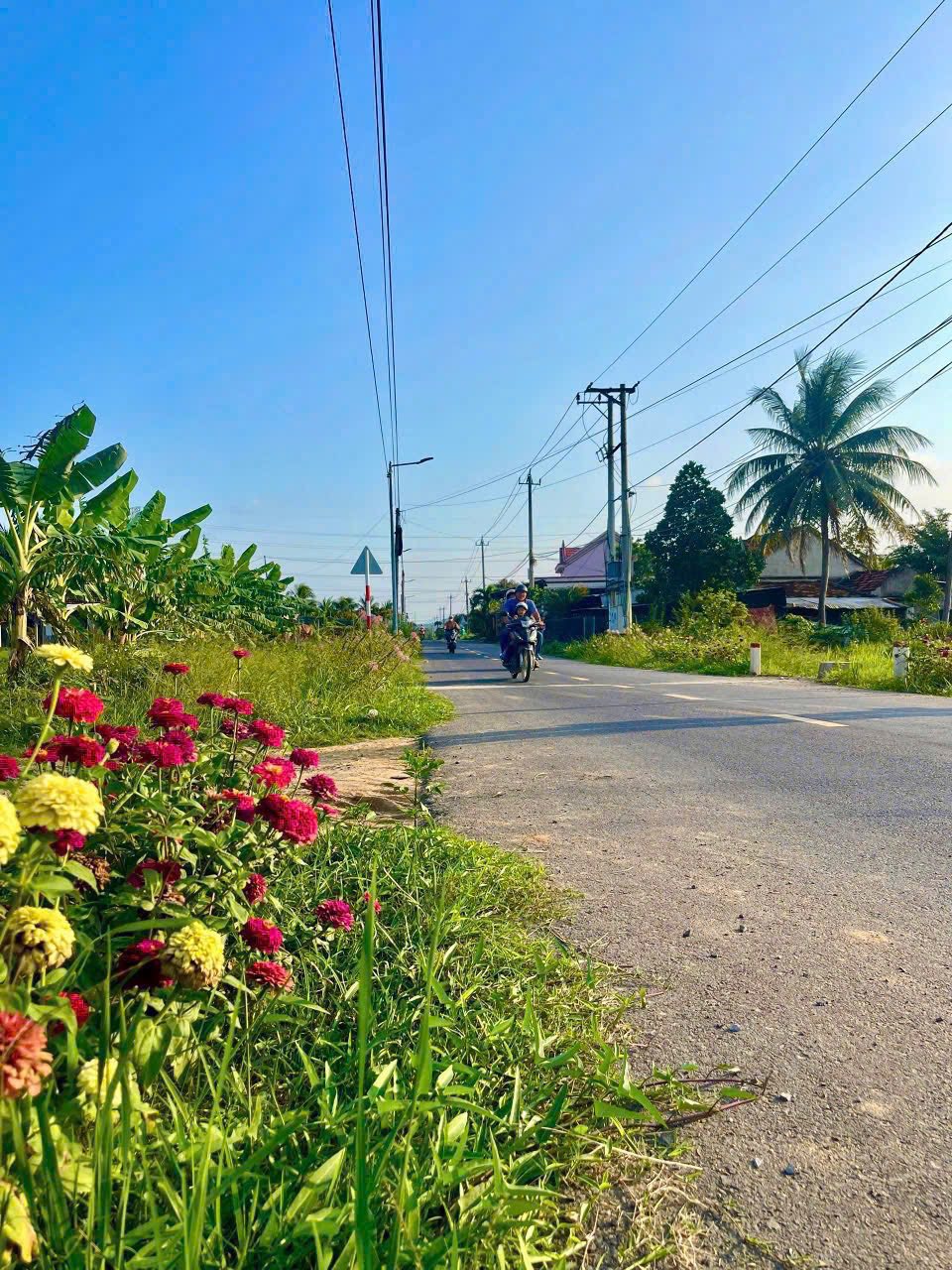 CƠ HỘI VÀNG! ĐẤT ĐẸP FULL THỔ, ĐÓN ĐẦU LÀN SÓNG ĐẦU TƯ KHU KINH TẾ VÂN PHONG, NINH AN, NINH HÒA - Ảnh 1