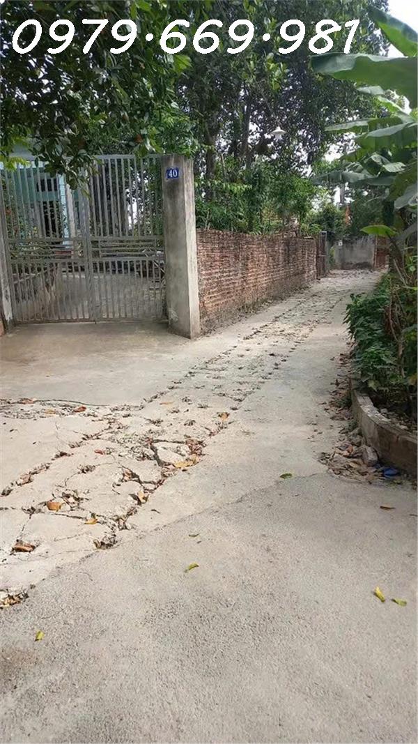 🚗 ĐẤT ĐẸP HÁT MÔN – Ô TÔ ĐỖ CỬA – GẦN VÀNH ĐAI 4 🚗 - Ảnh 2